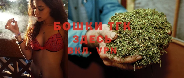 PSILOCYBIN Белокуриха