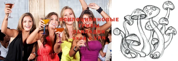 apvp Богородицк