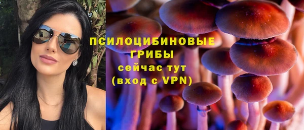 дживик Верея
