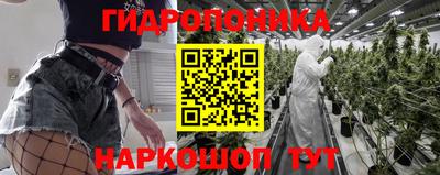 гашиш Аргун