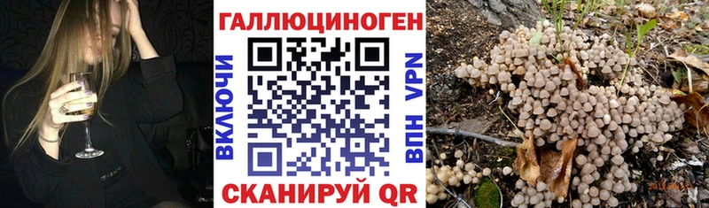 Галлюциногенные грибы MAGIC MUSHROOMS Верхняя Пышма