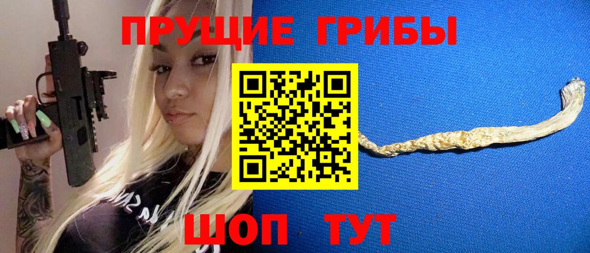 Галлюциногенные грибы прущие грибы  где купить наркоту  Псилоцибиновые грибы MAGIC MUSHROOMS  Верхняя Пышма 