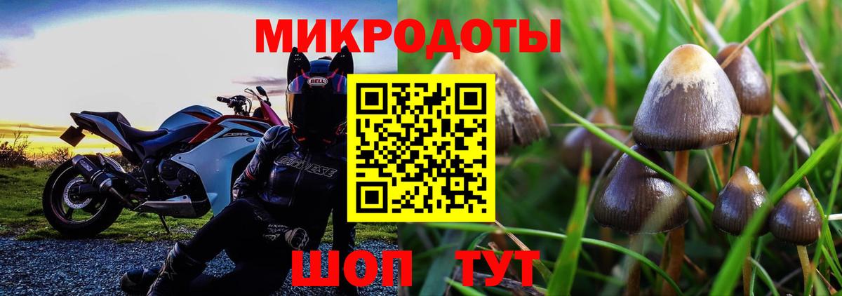 Галлюциногенные грибы прущие грибы  Вход с VPN  Верхняя Пышма  цена наркотик  Галлюциногенные грибы мухоморы 