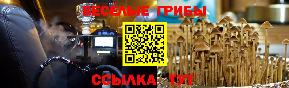 Метадон Верхняя Пышма